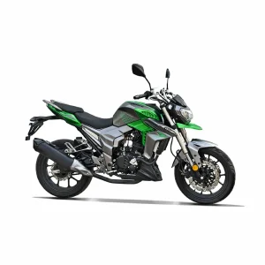 Купить RegulMoto T-Leopard 300 с ПТС и доставкой без переплат