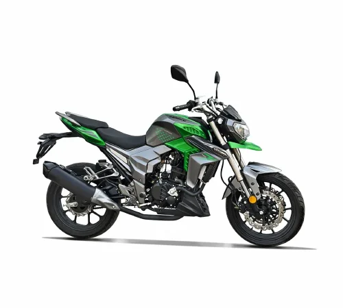 Купить RegulMoto T-Leopard 300 с ПТС и доставкой без переплат