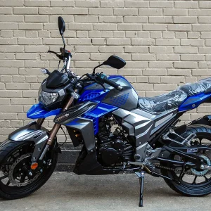 Купить RegulMoto T-Leopard 300 с ПТС и доставкой без переплат