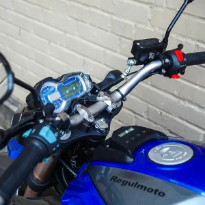 Купить RegulMoto T-Leopard 300 с ПТС и доставкой без переплат